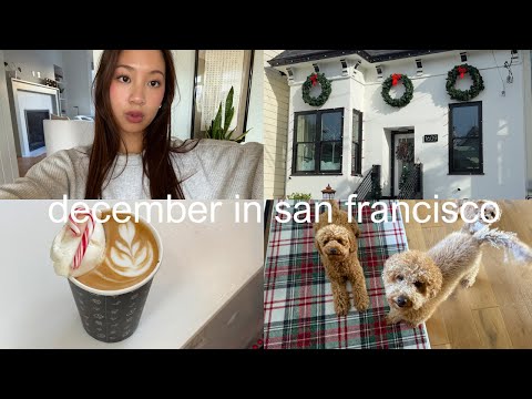 back in san francisco ⟡˖ ࣪ chilling at home, daily routine