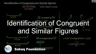Identification of Congruent and Similar Figures