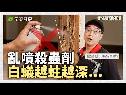 別再亂噴殺蟲劑！白蟻恐越蛀越深，專家教你3招滅除巢穴！ ∣ 歐哲廷 居家除蟲專家【早安健康 × 家事研究所】