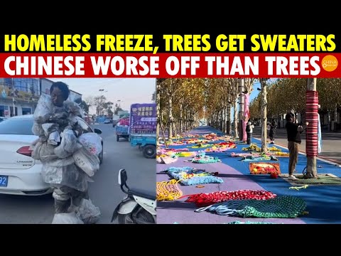 Many Homeless, Hungry in China’s Winter, Yet Trees Get Sweaters; People Worse off Than Trees