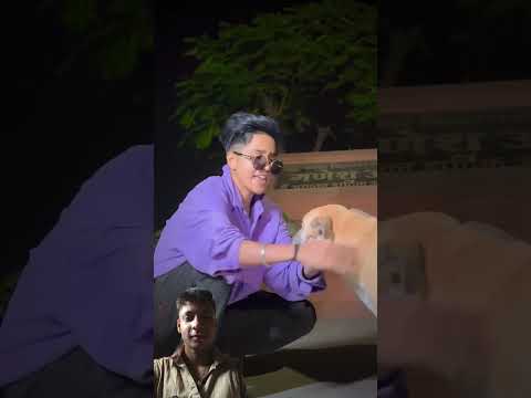Shivani ne rajju ka kat liya🤣🤣 #comedy #funny #dog #doglover #love #rajjufam #love #shortvideo