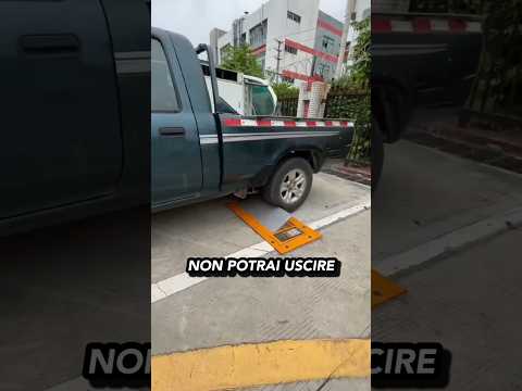 Blocca il parcheggio? ⚠️🚗🤔