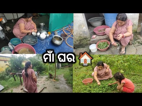 ମାଁ ଘର ଆସଲା ଦିନୁ ଇ ରକମ 🤷।ପାନି ବର୍ଷା ରେ ଗଲି ଶାଗ ଟୁଲି।ଆମର ଘର କିଏ ଆସିଛନ ଦେଖୁନ। ସମଧେନ କି ବୁହେନ 🤔।