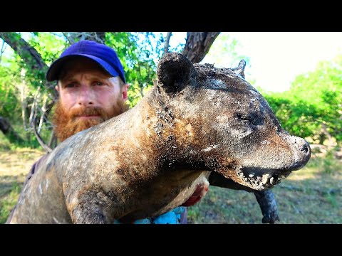 Singe Cooking (Cook in DIRT) -  Primitive Hangi, Tandoor, Umu, Imu