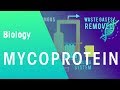 Understanding Protein and Mycoprotein