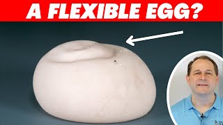 I Turned a Regular Egg into a Flexible Bouncy Ball