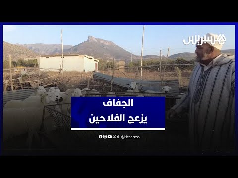 "معمرنا شفنا شي عام بحال هذا" .. الجفاف و تأخر الأمطار يقلقان فلاحين بجهة بني ملال