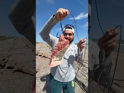 DOES GIANT BAIT=GIANT FISH⁉️🦈 🏖️