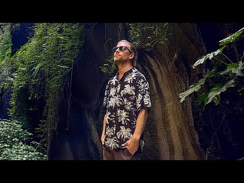 Sarazar - Jungle