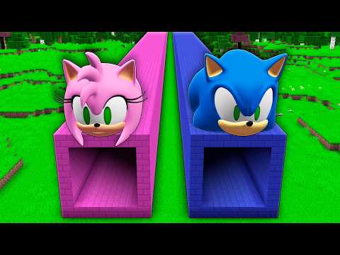 I found a LONHGEST SONIC TUNNEL AMY in Minecraft ! What's INSIDE the AMY GIRL vs SONIC TUNNEL ?