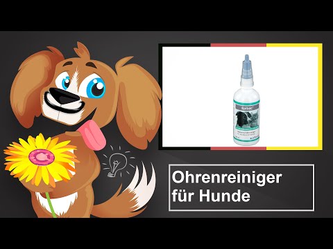 🐶 Ohrenreiniger für Hunde – Empfehlungen und Kauftipps