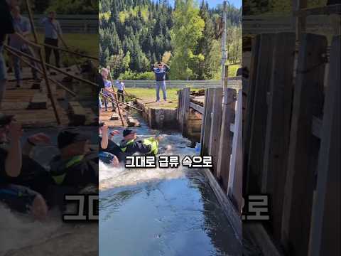 통나무 하나로 즐기는 짜릿한 여름 스포츠