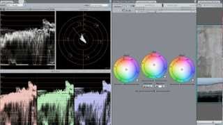 Final Cut Pro 7 Training Sample: Tao Of Color MasterClass Series