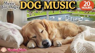 강아지가 좋아하는 음악🐶💖강아지 수면 음악 20시간🐶🎵강아지 분리불안 마음 완화 음악🎵강아지 스트레스 해소에 좋은 힐링 음악🎵외출할때 출근할때 꼭 틀어주세요 by 힐링메이트