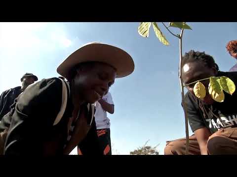YouTube video thumbnail: Zimbabwean Activist Reforests Harare's High Density Suburbs