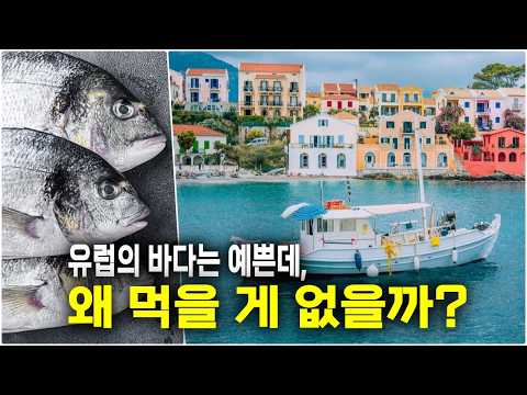 유럽인은 왜 생선을 즐기지 않을까?