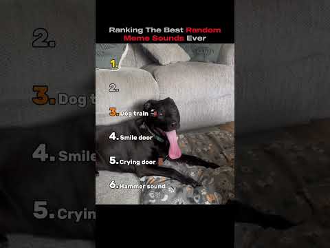 The best random meme sounds ever #ranking #memesounds #memes #best