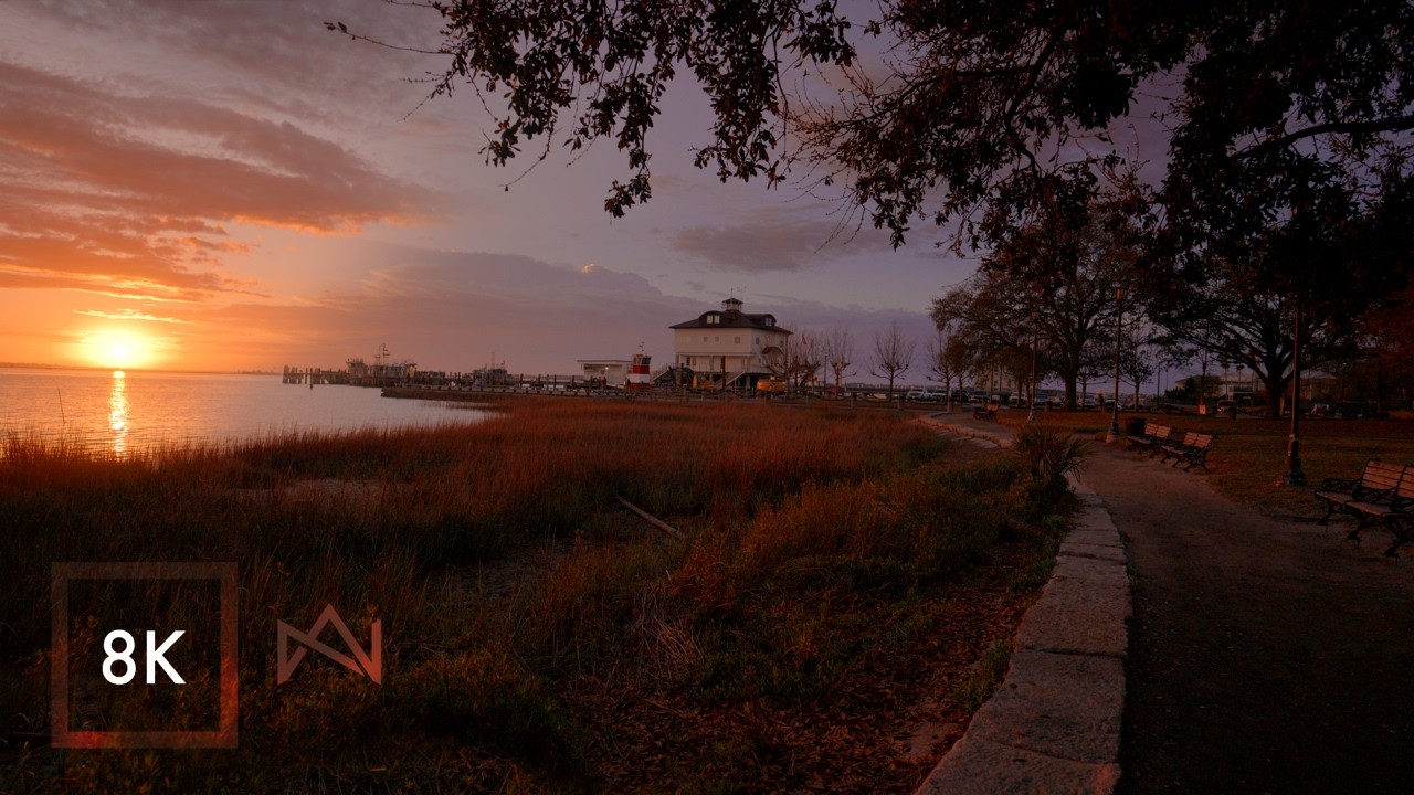 Relaxing Walk in Charleston South Carolina - Nature Sounds at Waterfront Park 8K HDR