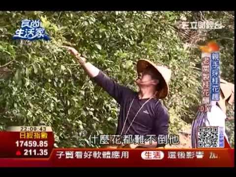 食尚生活家：石碇桂花香 桂花大餐口水直流 | 食尚生活家 | 三立財經台CH88 - YouTube