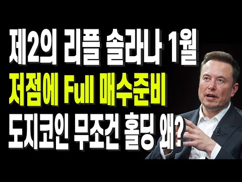 제2의 리플 솔라나 1월 저점에 Full 매수준비 도지코인 무조건 홀딩 왜?