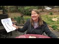 Seed Germination and Plant Life Cycle