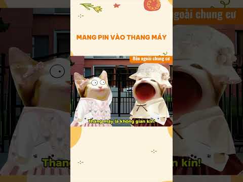 Mang pin vào thang máy | Cheems zui zẻ