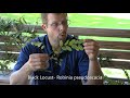 Identifying Features of Trees