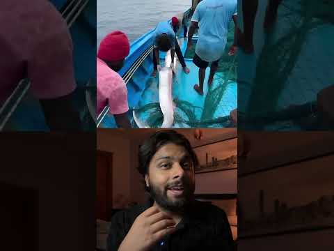 DOOMSDAY FISH FOUND IN TAMILNADU