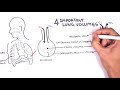 Lung Volumes and Capacities Assessment