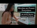 Microorganism Estimation Procedures