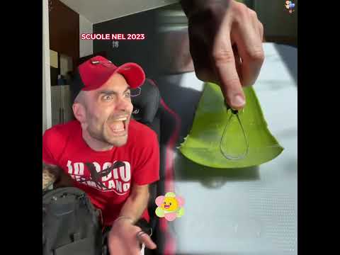 #pov