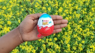 NEW! Colored Glitter Kinder Joy opening ASMR - A lot of Kinder Surprise egg toys Part-254
