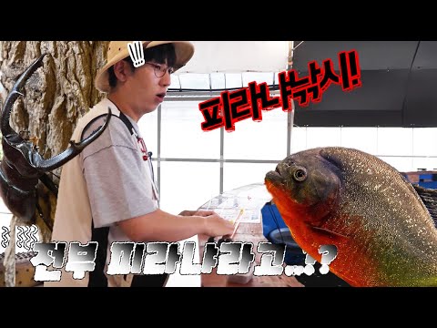 피라냐낚시 도전! 외국곤충도 많네?[EP8 오키나와]