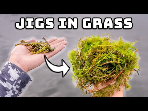 My #1 Tip For Grass Fishing With JIGS