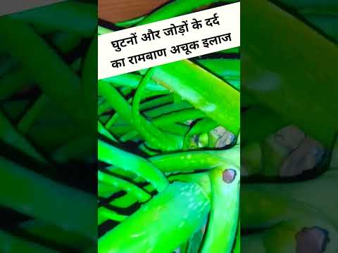 घुटनों और जोड़ों के दर्द का रामबाण अचूक इलाज
