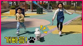 누가 누구를 산책시키는거야? ㅋㅋ 반려견과 산책하는 신비 신율 어린이 ... [ 예니튜브 YENI TUBE ]