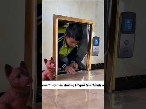 Em trai lên thành phố sống với anh trai  trong ngôi nhà tí hon.#shorts