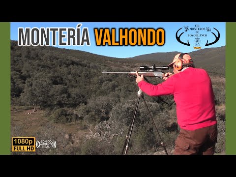 MONTERIA VALHONDO 2024  C D  MONTEROS DE POZOBLANCO #263