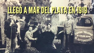 🌼 Pasión por las flores y plantas: la herencia de los inmigrantes italianos en Mar del Plata