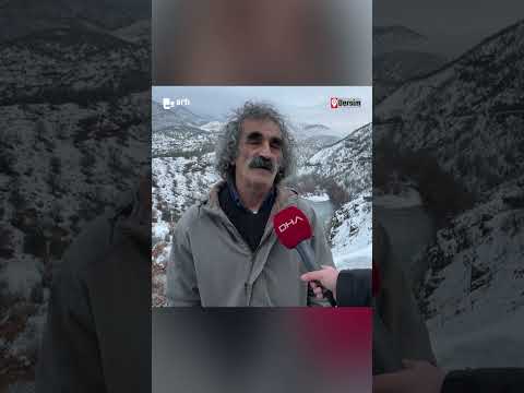 Dersim'de erkek dağ keçileri vadiye indi #shortvideo