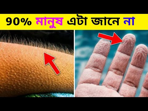 পানিতে হাত ভিজিয়ে রাখলে হাতের চামড়া কুঁচকে যায় কেন ? ৯০% মানুষ জানে না এমন সব তথ্য..!!