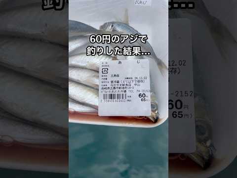 60円のアジを餌にしたら超高級魚が入れ食い…!VOICEVOX:ずんだもん #釣り