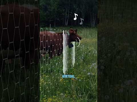 Smart Way to Fence Animals Without Fences