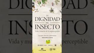 ✨ La dignidad del insecto y La Rana 🐸 Peluche 2026 #teatro #cdmx @teatrounamcanal#unam ​
