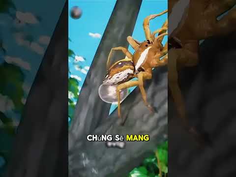 khi một người dẫm nát con nhện bằng chân thì nhiều con nhện con sẽ bò ra.