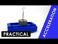 Force and Acceleration Experiment