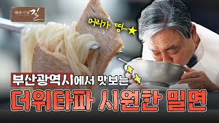 [테마기행 길] 떠나요, 자연을 품은 부산으로! | MBC경남 240712 방송 다시보기