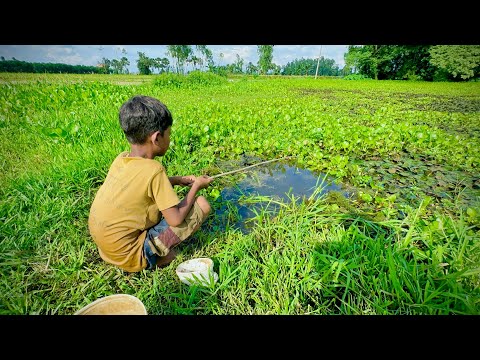 Fishing Video || The traditional boy easily caught many fish from the canal || Best hook fishing