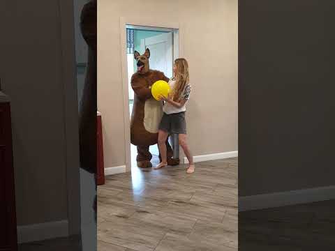 Tanya brings a yellow balloon to the big fat shaggy dog again