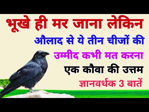 भूखे ही मर जाना लेकिन औलाद से ये तीन चीजों की उम्मीद कभी मत करना!एक कौवा की अनमोल कहानी।crow story.